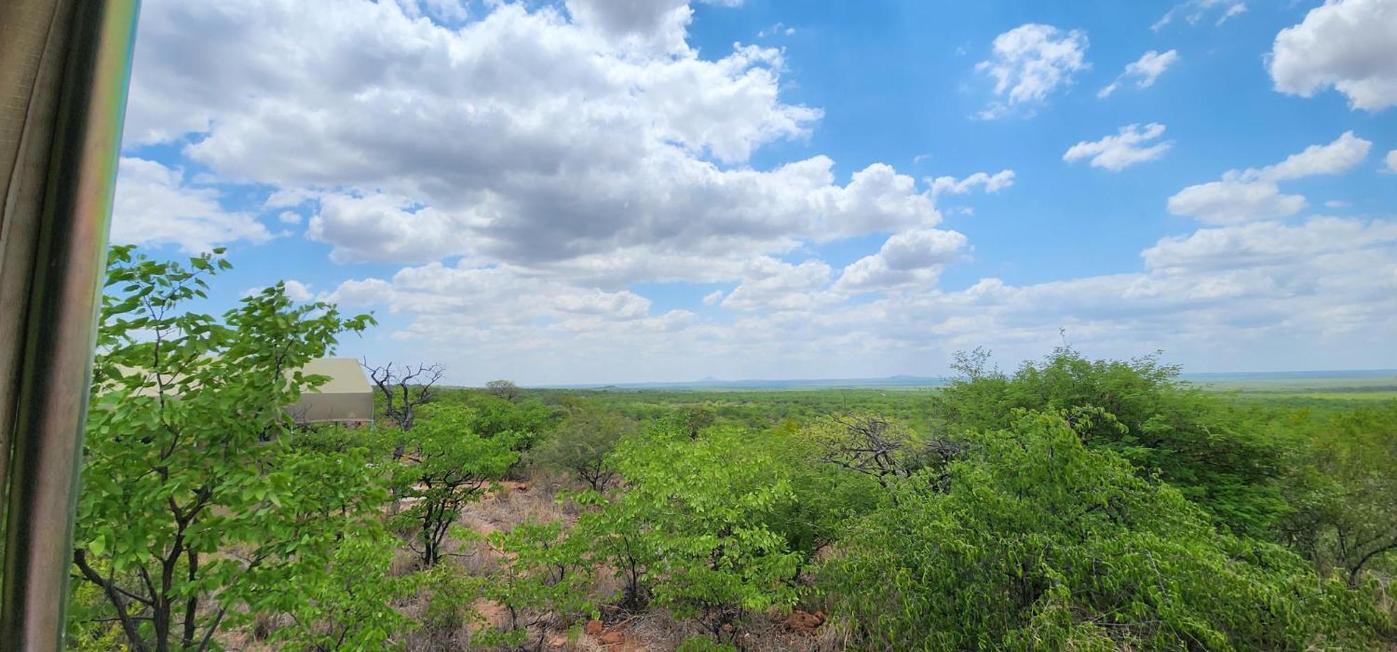 Mopane Bush Lodge Linton Exterior photo