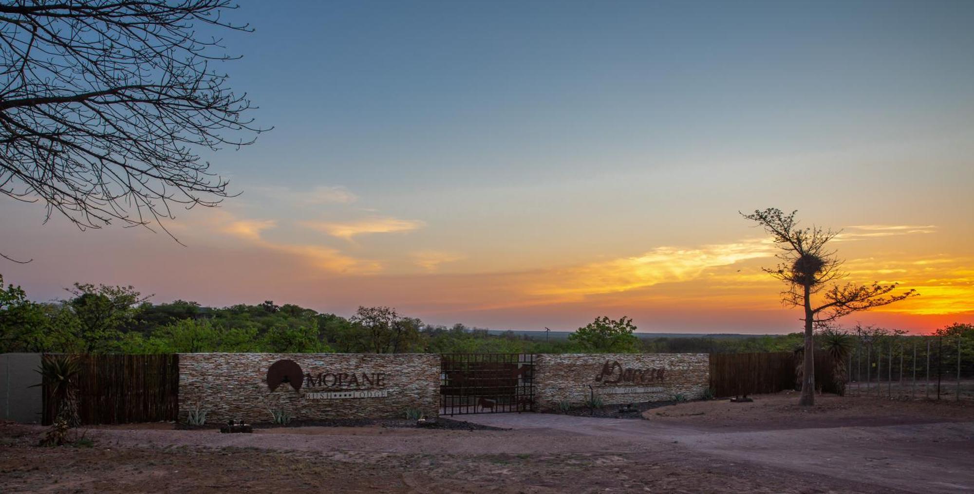 Mopane Bush Lodge Linton Exterior photo
