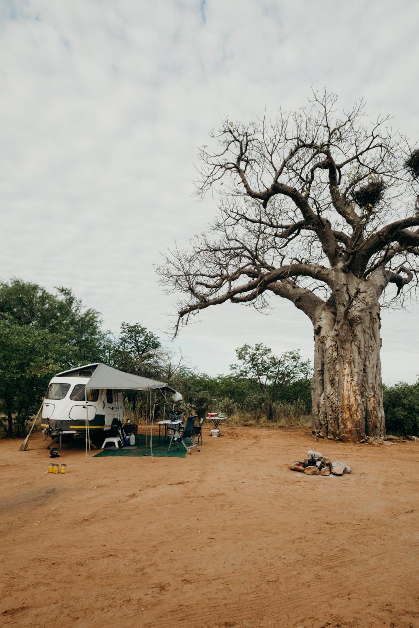 Mopane Bush Lodge Linton Exterior photo