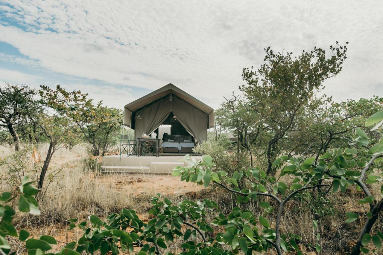 Mopane Bush Lodge Linton Exterior photo